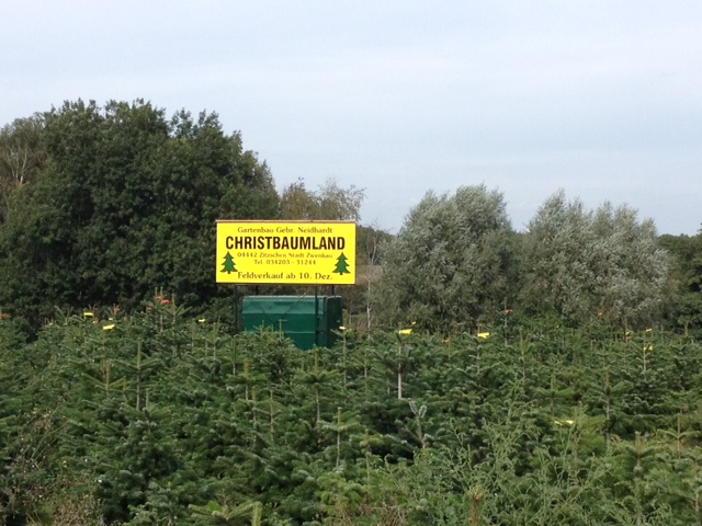 Feldverkauf Lösau (PLZ 06686) an der Weißenfelser Straße
